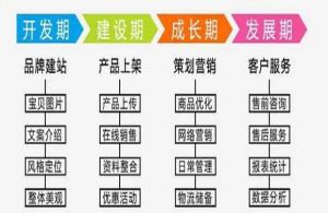 淘寶網發(fā)展