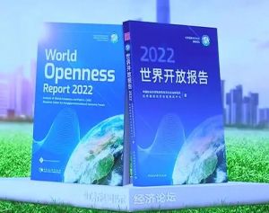 《世界開放報(bào)告2022》