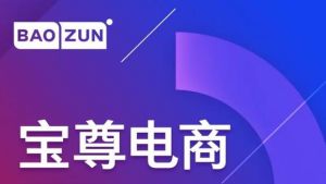 寶尊電商