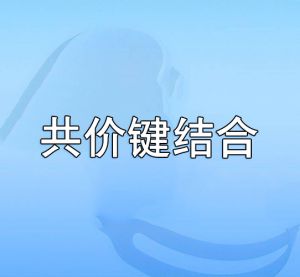 共價(jià)鍵結(jié)合