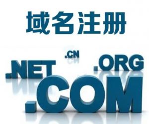 域名注冊(cè)