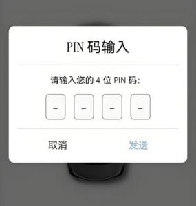 PIN個人身份識別碼