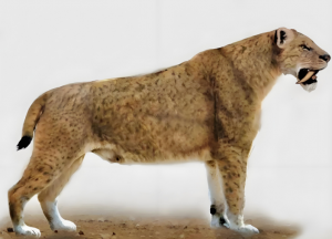 美洲擬獅